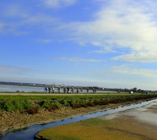 Cyclists ride along a coastal path under a blue sky.