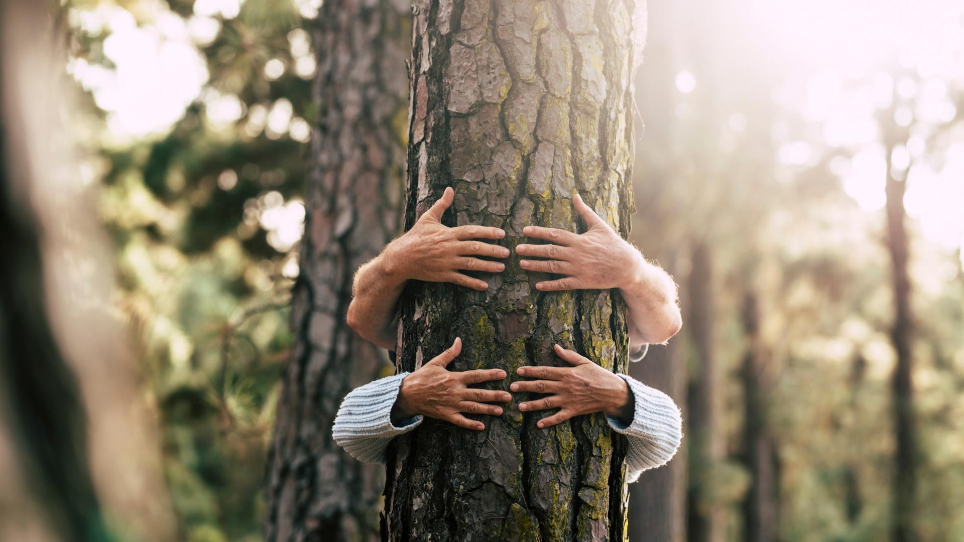 Persone abbracciano un albero nel bosco, simbolo di connessione con la natura.