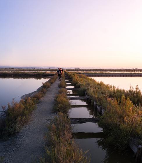 Tramonto su una passerella tra le saline, riflessi d'acqua e vegetazione.