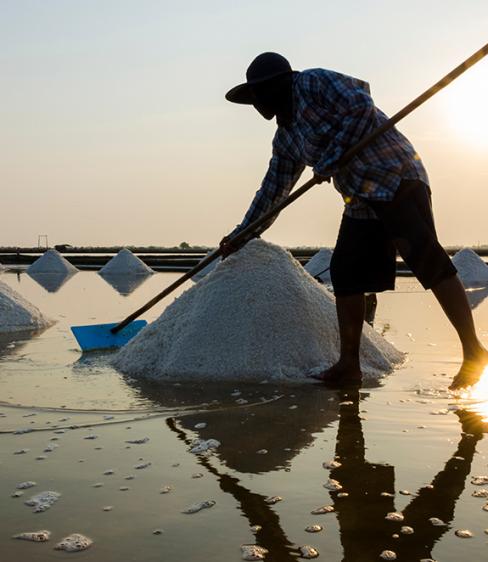 Lavoratore raccoglie sale in saline al tramonto, riflessi sull'acqua.